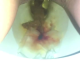 From under the toilet, a very cute girl shits with a hang and drop, plus pissing and product in the bowl. Filmed from a between the legs perspective. Vertical format video. Over a minute.